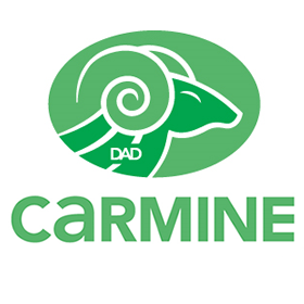 Carmine